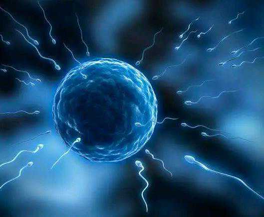 中国哪里可以找代孕,2025潮州三代试管生子费用公开，2025助孕费用明细一览