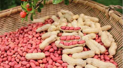 中国正规的供卵医院有哪些,信宜试管婴儿费用多少钱(信阳试管婴儿多少钱)