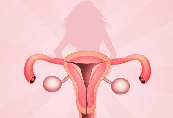 国内的供卵私立医院,南京鼓楼医院做试管花费多少钱