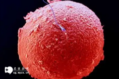 试管移植后着床不成功的